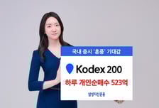 개인투자자 "코스피 오른다"…KODEX 200 하루 만에 523억 몰려