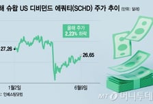 "얘가 효자래, 노후 대비하자" 믿고 돈 넣었는데…골칫덩이 된 '슈드'
