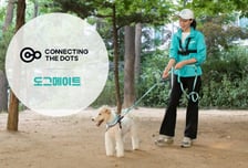 펫케어 인수한 째깍악어…"가족 전체 아우르는 통합 돌봄 제공"