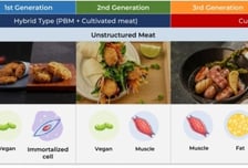 "식물·세포로 고기 만든다"…탄력받은 대체육·배양육 연구, 한국은?