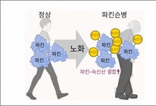 앱트뉴로사이언스 정종경 사장, 노화에 따른 파킨슨병 발병 물질 규명