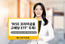 RISE 코리아금융고배당 ETF, 3개월 수익률 28%…고배당株 주목