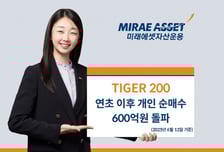TIGER 200 ETF, 올해 개인 순매수 600억 돌파…수익률 24.6%