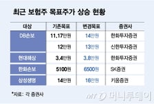이륜차 보험 의무화, 펫보험 활성화···보험주 목표주가 올렸다