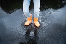 장마철만 되면…"무릎이 시큰, 내일 비 오겠네" 이 말 사실일까?