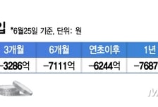 "대어無, 6244억 빠졌다" 불장에 소외된 이 펀드…하반기 물 들어온다?