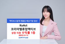 KoAct 코리아밸류업액티브, 수익률 27.3%…밸류업ETF 중 1위