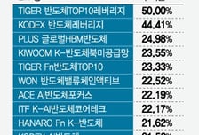 SK하닉 신고가 찍자 '수익률 50%'…"앞으로 더 좋다" 함께 웃는 ETF