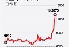 원전주만 있냐, 원전해체주도 있다···아직은 테마성, 그러나