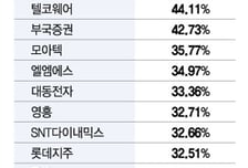 '자사주 1년내 소각 의무화' 법안에...자사주 비중 높은 종목 상한가 릴레이