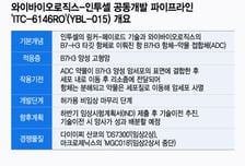 와이바이오로직스 "인투셀 공동개발 순항…링커 기술 가치 변함없어"