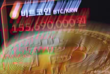 비트코인 최고가 찍자…"이 주식도 뛴다" 국내 관련주 어디?