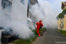 동남아 갔다가 의식 잃을라…"이 감염병, 현지 유행 중"