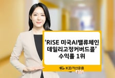 RISE 미국AI밸류체인데일리고정커버드콜, 같은 유형 수익률 1위