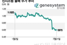 진시스템, '295억' 계약 해지에 주가 반토막…유동성 경고등 켜지나