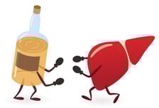 폭음에 부은 간, 면역세포와 핫라인 연결…알코올성 간질환 새 치료법 열쇠?