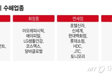 한국에 10년 빗장 '한한령' 풀리나…"8월 이 종목 줍줍 기회"