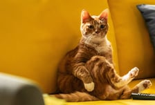 '좀비딸' , 어제 47만 동원! 4일연속 흥행독주 [박스오피스]