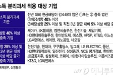 세제개편안 실망했지만…"저가 매수 기회" 전문가들 콕 집은 종목