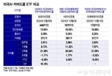[ETFvsETF]신고가 경신 美 AI 투자에 월배당까지…수익·배당 1위는?
