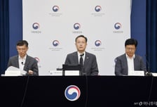 "어떻게 바뀌는 거야" 헷갈리는 개미들, 돈 둘 곳은?…'여기'로 피신