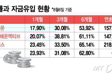 '깜짝실적 끌고 MASGA 밀고' 조선주 쾌속질주…ETF에도 뭉칫돈