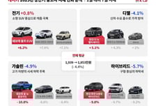 "캐즘 탈출 신호?"…중고차 중 전기차만 시세 올랐다