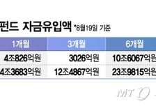 주식 불안 심리 커진다…MMF·국내채권 펀드에 80조 몰려