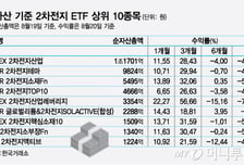 "2차전지 올라타자" 봤더니 ETF만 17개…수익률 높은건?[ETFvsETF]