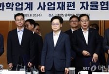 석화업계 "구체적 인센티브 언급 없어…아쉽다"