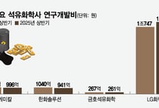 위기의 석화업계 스페셜티 전환 급한데…R&amp;D 투자도 보릿고개