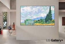 LG전자, TV로 명화부터 게임 일러스트까지…'갤러리 +' 출시