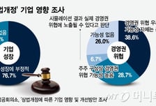 '더 센 상법' 다음은 '자사주 소각'…재계 "방패도 달라" 절규