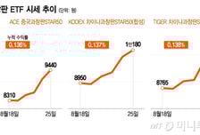 정부 지원받고 中 테크주 꿈틀꿈틀…차이나과창판 ETF 급등