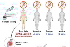 주사 한 방에 유전성 난청 회복…국내 연구진, 세계 첫 치료법 개발