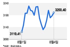 9~10월만 되면 어김없이 오른다…박스피에 지친 개미 돌파구는 '이것'