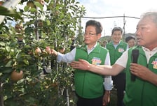 “몸만 오이소”…‘경상북도 드림’ 통했다