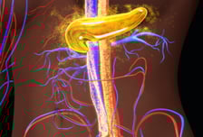 "당뇨병 진행 늦춘다"…세포 노화 잡았더니 '놀라운 효과'