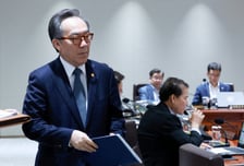 채 해병 특검, '호주대사 범인 도피' 조태열 소환…다음달엔 尹 부른다