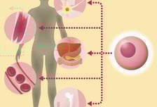 '46→18세로' 억만장자의 실험…푸틴 탐내는 '불멸' 가능할까 [한 장으로 보는 건강]
