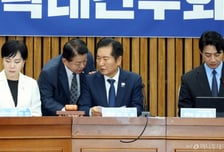 "호남에는 불 안나나" 돌발 발언에…정청래 "누구냐, 범인 찾는다"