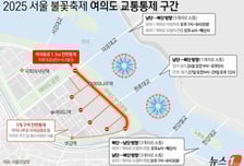 '100만명 모인다' 여의도 불꽃축제…"오후 2시부터 도로 전면통제"