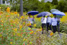 [내일 날씨] 전국에 가을비…"낮 기온도 높지 않아요"