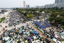 "불꽃축제 반려견 데려가지 마세요"…SNS 주의글 확산