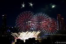 "새벽 3시에 일어나 대전에서 왔어요"…불꽃축제 올해도 '활황'