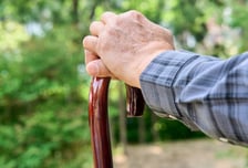 일본 MZ "우리가 왜 노인들 의료비 부담?"…건보료 인상에 '불만'