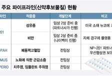 디앤디파마텍이 쏘아올린 '뉴코' 성과…닮은꼴 나이벡 행보에도 눈길