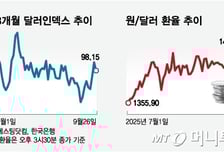 "환율 추가상승 가능성… 상단 1420원까지 열어둬야"