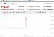코인 거래소와 피섞는 네이버, 장초반 6%대 '불기둥'