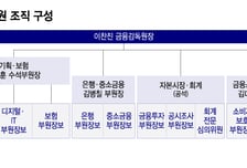 분리 피한 금소처, 총괄본부로 격상…"금감원, 완전한 재탄생"